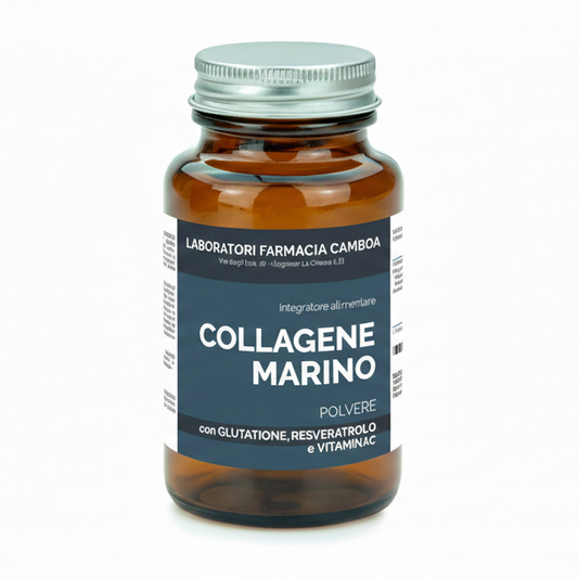 COLLAGENE POLVERE 120 G
